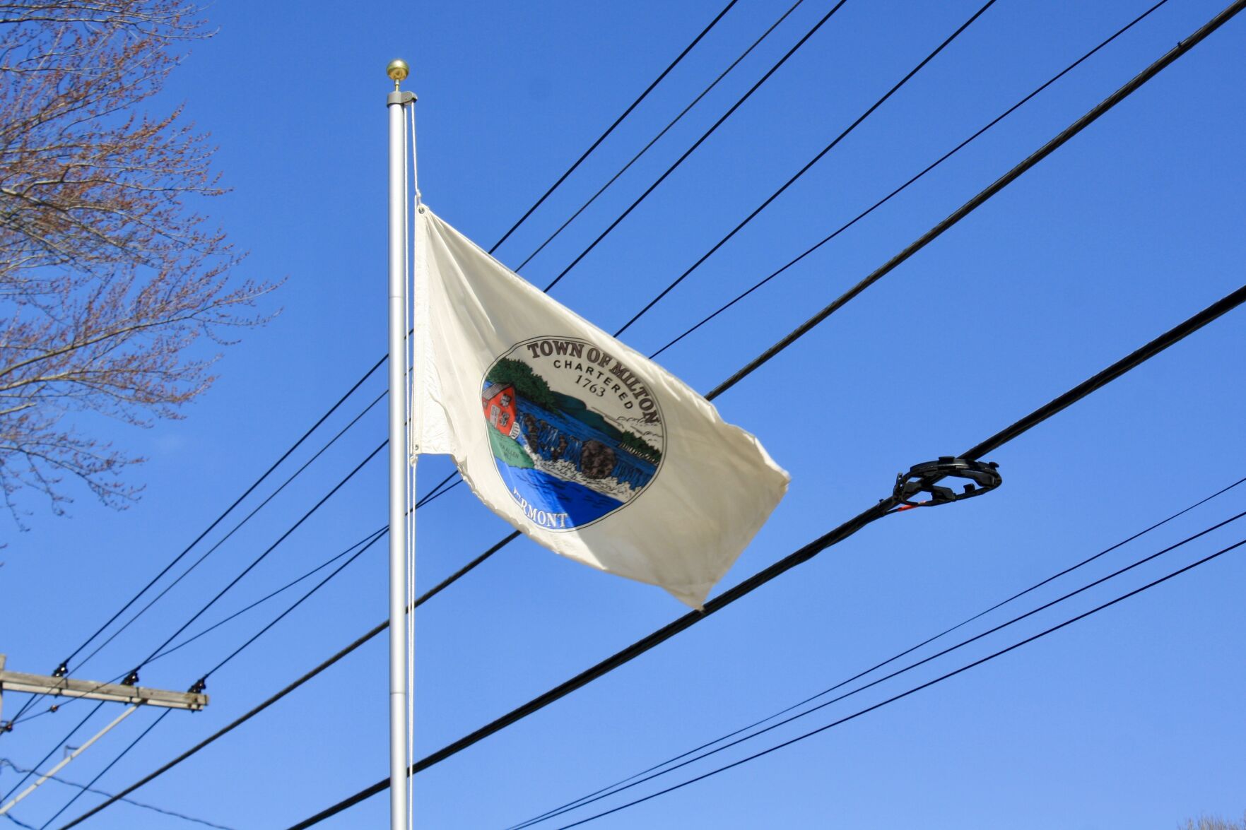 Town of Milton flag